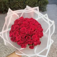 ۲۰شاخه گل رز هلندی|گل و گیاه طبیعی|مشهد, دانشجو|دیوار