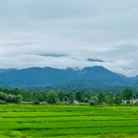 فلت همکف با روف روبه جنگل /کد624|فروش خانه و ویلا|چمستان, |دیوار