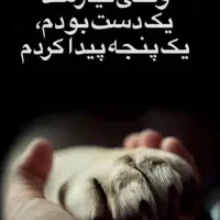 نظافت اپارتمان