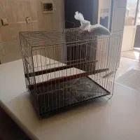 قفسه پرنده