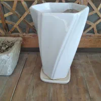 گلدون و پایه گلدون|گل و گیاه طبیعی|بندر ماهشهر, |دیوار