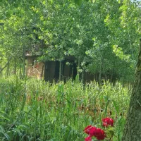 خرید ویلا آبی در قلب منطقه ی رو به پیشرفت