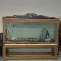 آکواریوم|ماهی|اصفهان, باغ فدک|دیوار