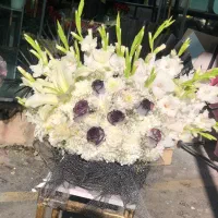 باکس گل|گل و گیاه طبیعی|تهران, آبشار تهران (دریاچه)|دیوار