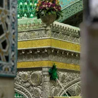 تور مشهدطبرسی دو نزدیکترین مسیر به حرم مطهر|تور و چارتر|کرمان, |دیوار
