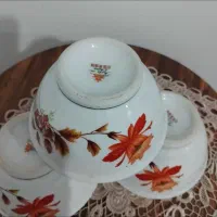 کاسه ی قدیمی گل شیپور