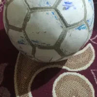 توپ سالن فقط یک مشکل ریز داره|ورزش‌های توپی|یاسوج, |دیوار