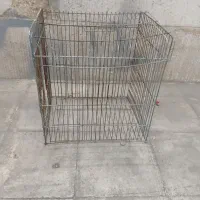 گل گیاه قفس پرنده کبوتر کاسکو قدیمی چاقو مینا|اسباب‌بازی بچه|شیراز, تندگویان|دیوار