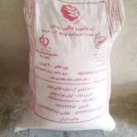 آرد گندم