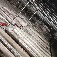 کارخانه قالیشوئی ومبلشوئی اتشگاه