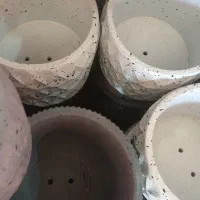 حراج تعدادی گلدان حراج|گل و گیاه طبیعی|سیرجان, |دیوار