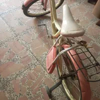 دوچرخه دخترانه|دوچرخه، اسکیت، اسکوتر|رشت, شهرک پردیسان|دیوار