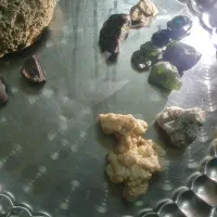 تعدادی سنگ قیمتی|کلکسیون اشیاء عتیقه|آزادشهر, |دیوار