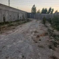 اجاره چهاردیواری ۶۰۰ متری لوکیشن باغستان شهریار|اجارهٔ دفتر صنعتی، کشاورزی، تجاری|شهریار, دهشاد بالا|دیوار