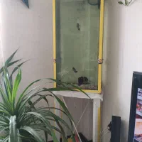 فروش آکواریوم