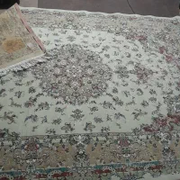 فرش ۶متری تمیز