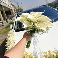 تشریفات ازدواج آسان فقط با ۳۵ ملیون|خدمات پذیرایی، مراسم|اهواز, کوی فرهنگیان ۱|دیوار