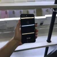 8 Plus