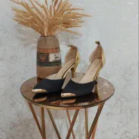 کفش و بوت مجلسی نو|کیف، کفش، کمربند|شهرکرد, |دیوار