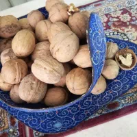 گردووبادام تازه