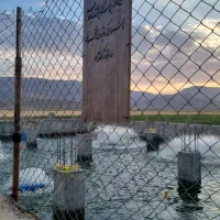 ماهی قزل آلا|ماهی|اقلید, |دیوار