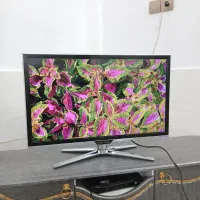 ال ای دی۳۲اینچ دوو اصل کره درحداک نوی نو کمکار