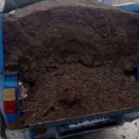 کود پوسیده سوخته حیوانی گوسفندی تضمینی بدونه گرایه