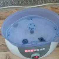 بخار پز|سایر لوازم برقی|نورآباد, |دیوار