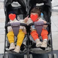 کالسکه ۲ قلو