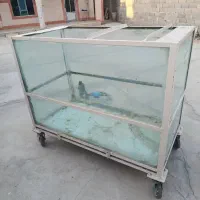 آکواریوم فروشی ۱۴ملیون با تخفیف|ماهی|لردگان, |دیوار