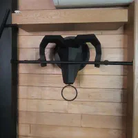 دکوری  رگال طرح قوچ فلزی