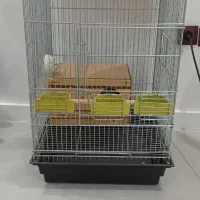 قفس پرنده
