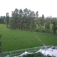 فروش ویلا مبله