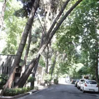 ۳۰۰ متر - بر ۱۱ - جنوبی - بلوارشهرزاد