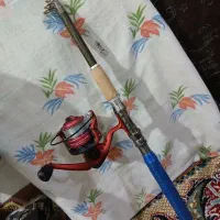 لنسر ماهیگری