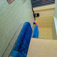 سوییت اجاره ای و هتل آپارتمان در ارم، نمازی ،چمران|اجارهٔ کوتاهمدت آپارتمان و سوئیت|شیراز, ارم|دیوار