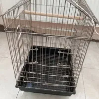 قفس طوطی و عروس هلندی