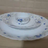 آرکوپال گل آبی