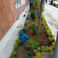 باغبانی سمپاشی هرس کاری تیلرزدن باغها در سراسرمشهد|خدمات باغبانی و درختکاری|مشهد, وکیلآباد|دیوار