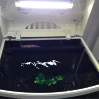 آکواریوم شرکتی دلسا|ماهی|قم, حنیف نژاد|دیوار