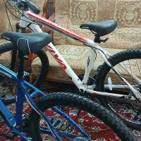 ۲عدد دوچرخه Viva نو نو