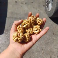 مغز گردو مال امسال|خوردنی و آشامیدنی|قره ضیاالدین, |دیوار