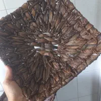 ۳عدد سبد میوه سبزی حصیری