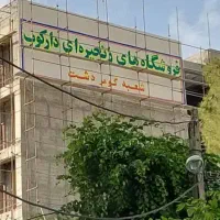 دیوارنویسی دیوار نویسی