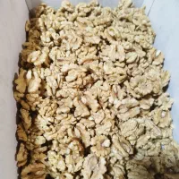 استخدام فوری