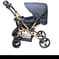 کالسکه دلیجان مدل بنیتا