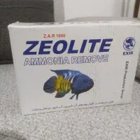 اکواریوم شیشه خم|ماهی|کرج, حصار|دیوار