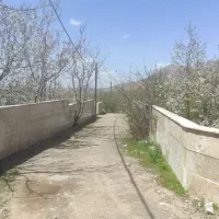 باغچه