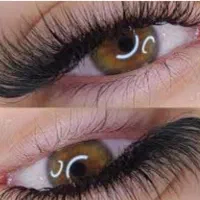 کاشت انواع مژه هیدن  با ماندگاری بالا  ۲۵۰ تومن