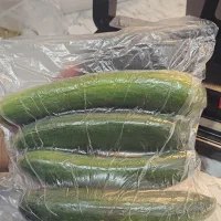 آخرین مدل وکیوم موگه P290B با تخفیف ویژه|کافیشاپ و رستوران|شیراز, چوگیاه|دیوار